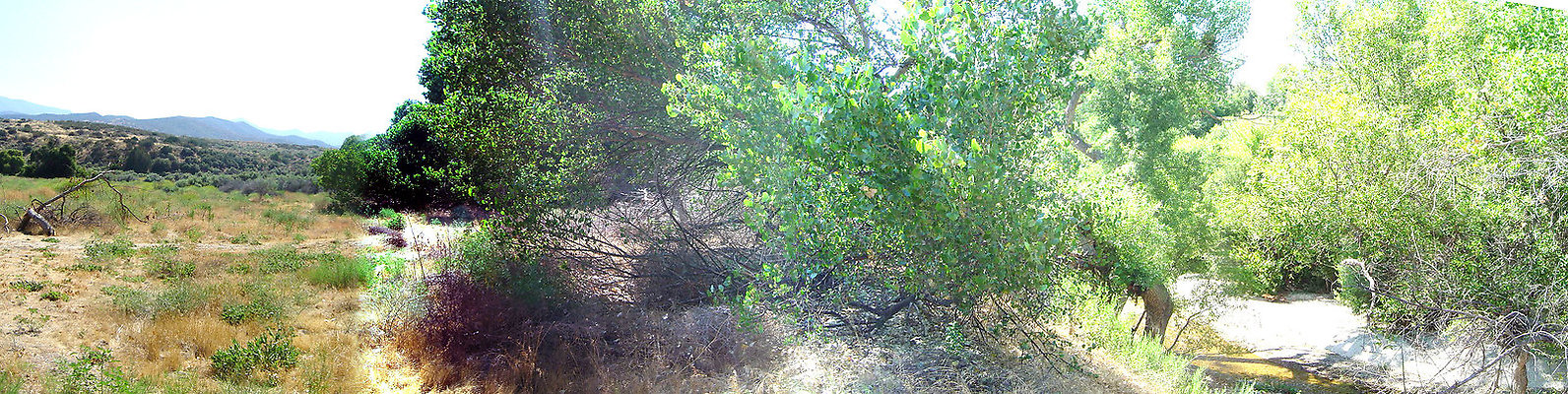 Looking down on River