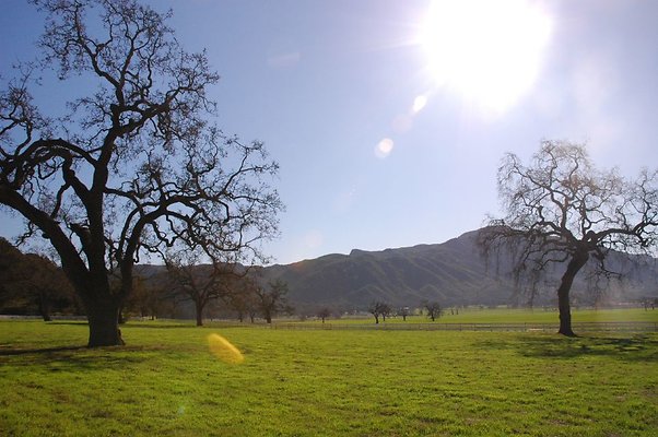 DSC 5775 ero DSC 5775 ero