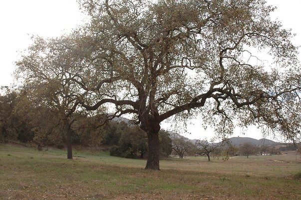 DSC 0691 hero DSC 0691 hero