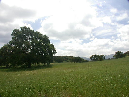 DSCN9763 ero DSCN9763 ero