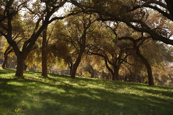 DSC 2436 ero DSC 2436 ero