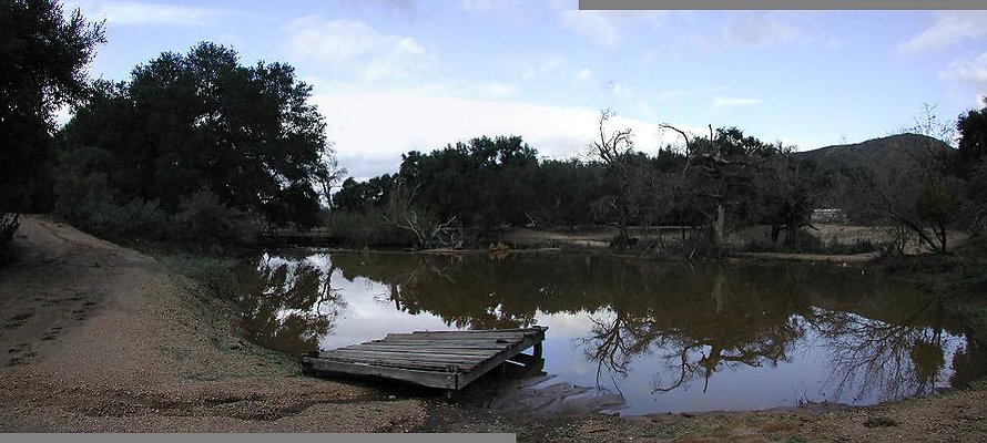 SBLE swamp water SBLE swamp water