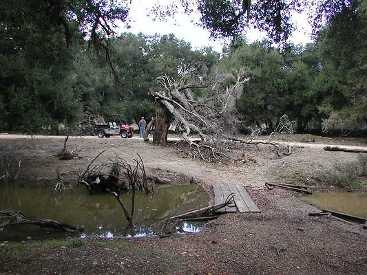 SBLE swamp5 SBLE swamp5