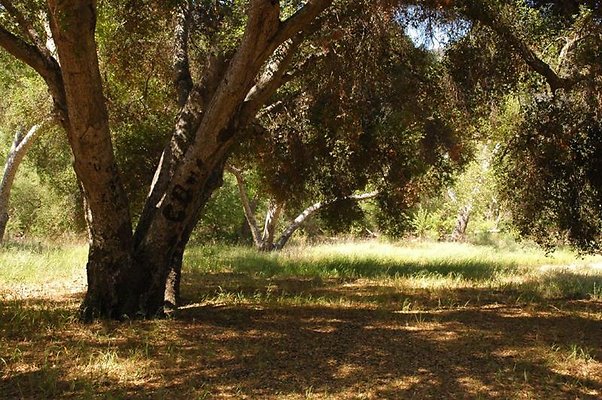 DSC 8895 hero DSC 8895 hero