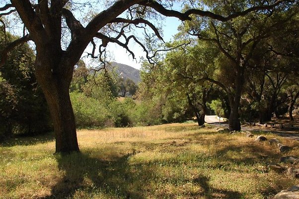 DSC 8935 hero DSC 8935 hero